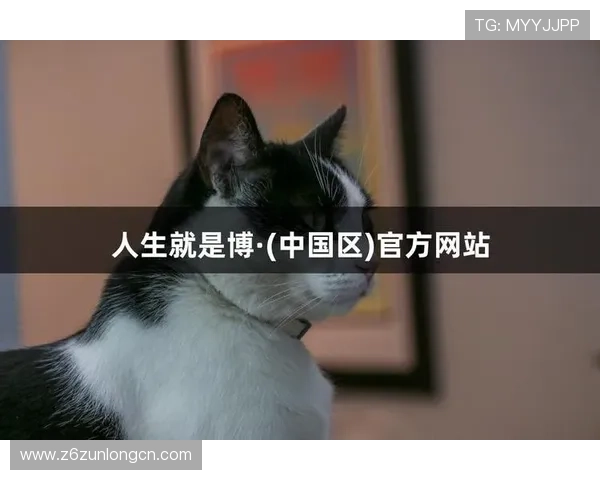 凯时人生就是博怎么样揭秘游戏安全性与玩家资金保障措施详解